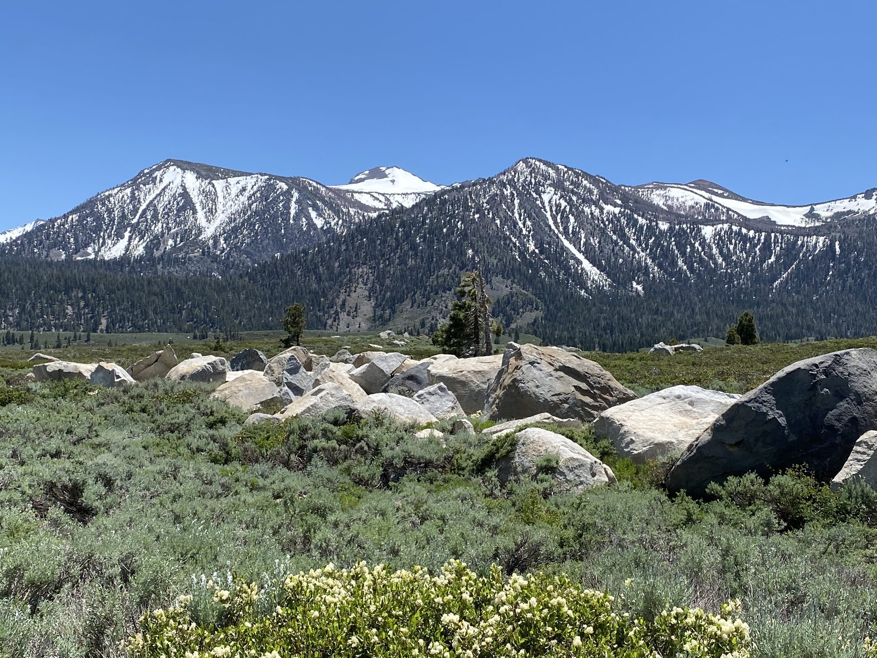 The Sherwins from the sagebrush flat at the south edge of town